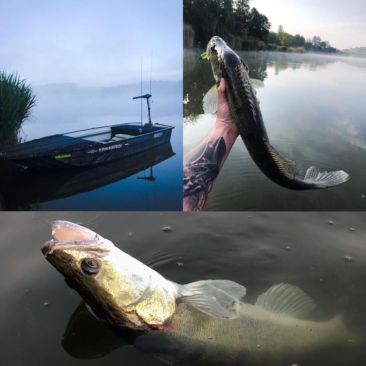 Emlékezetes fogás
